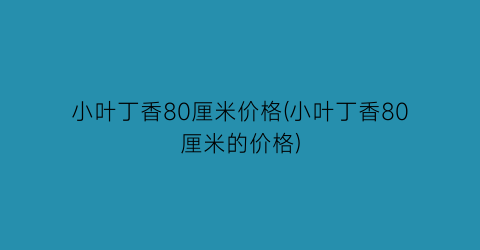 小叶丁香80厘米价格(小叶丁香80厘米的价格)
