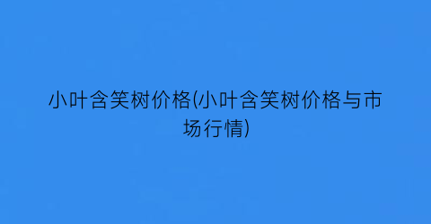 “小叶含笑树价格(小叶含笑树价格与市场行情)