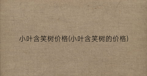 小叶含笑树价格(小叶含笑树的价格)