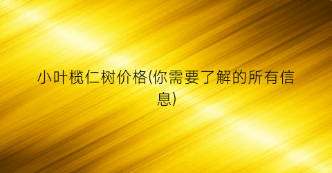 小叶榄仁树价格(你需要了解的所有信息)