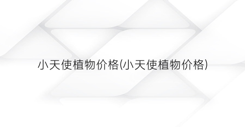 小天使植物价格(小天使植物价格)