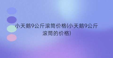 小天鹅9公斤滚筒价格(小天鹅9公斤滚筒的价格)