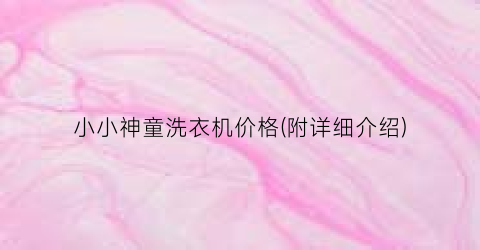 小小神童洗衣机价格(附详细介绍)
