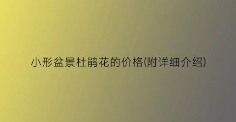 “小形盆景杜鹃花的价格(附详细介绍)