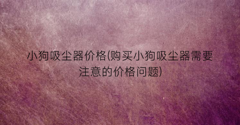 小狗吸尘器价格(购买小狗吸尘器需要注意的价格问题)