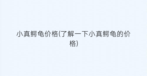 小真鳄龟价格(了解一下小真鳄龟的价格)