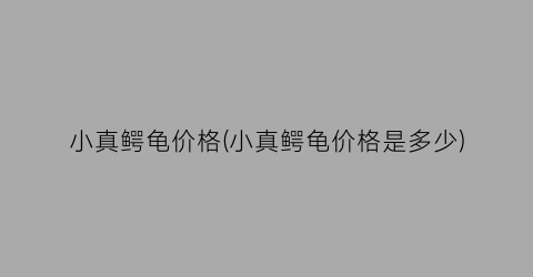 小真鳄龟价格(小真鳄龟价格是多少)