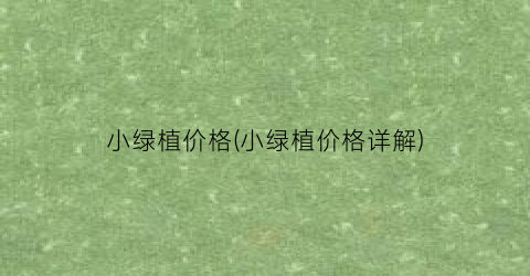 小绿植价格(小绿植价格详解)