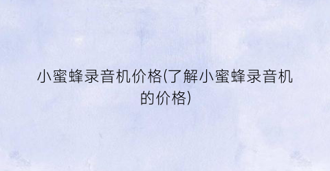 小蜜蜂录音机价格(了解小蜜蜂录音机的价格)