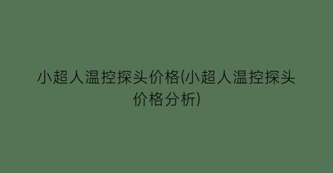 小超人温控探头价格(小超人温控探头价格分析)
