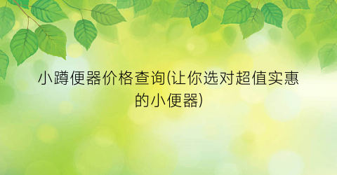小蹲便器价格查询(让你选对超值实惠的小便器)