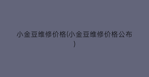 “小金豆维修价格(小金豆维修价格公布)