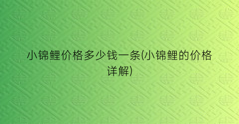 小锦鲤价格多少钱一条(小锦鲤的价格详解)