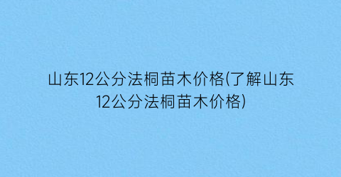 山东12公分法桐苗木价格(了解山东12公分法桐苗木价格)