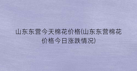 山东东营今天棉花价格(山东东营棉花价格今日涨跌情况)
