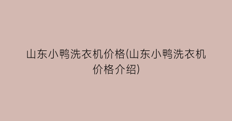 山东小鸭洗衣机价格(山东小鸭洗衣机价格介绍)
