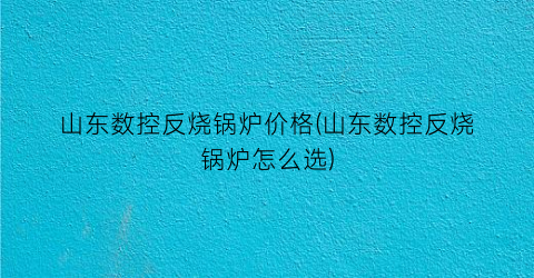 山东数控反烧锅炉价格(山东数控反烧锅炉怎么选)