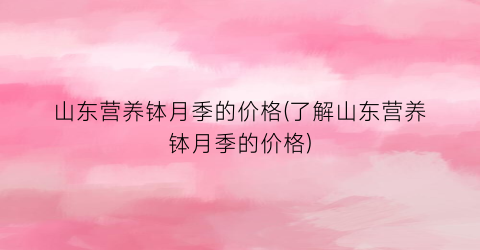 山东营养钵月季的价格(了解山东营养钵月季的价格)