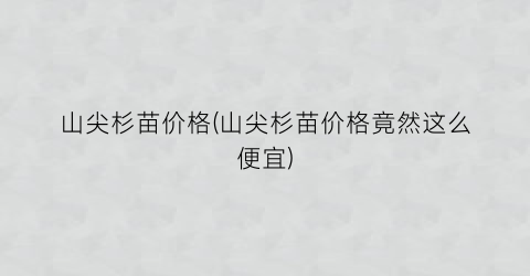 山尖杉苗价格(山尖杉苗价格竟然这么便宜)