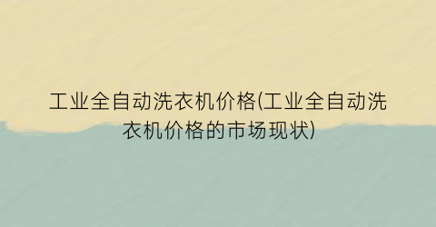 工业全自动洗衣机价格(工业全自动洗衣机价格的市场现状)