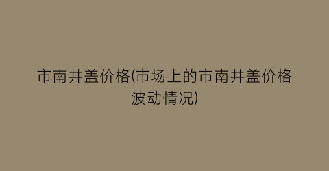 市南井盖价格(市场上的市南井盖价格波动情况)