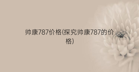 帅康787价格(探究帅康787的价格)