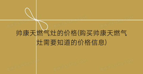 帅康天燃气灶的价格(购买帅康天燃气灶需要知道的价格信息)