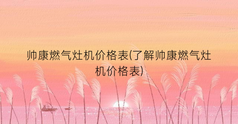 “帅康燃气灶机价格表(了解帅康燃气灶机价格表)