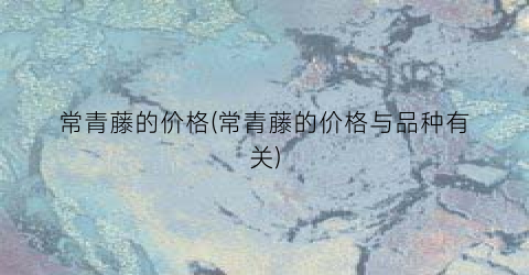 “常青藤的价格(常青藤的价格与品种有关)