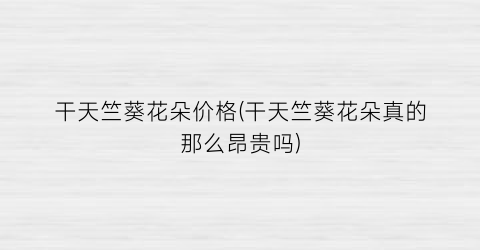 干天竺葵花朵价格(干天竺葵花朵真的那么昂贵吗)