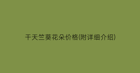 干天竺葵花朵价格(附详细介绍)
