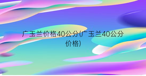 广玉兰价格40公分(广玉兰40公分价格)