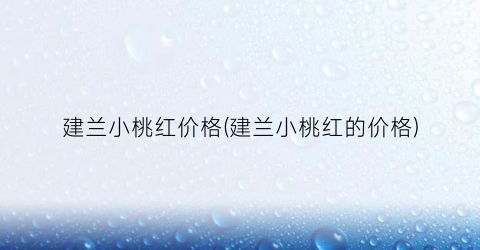 建兰小桃红价格(建兰小桃红的价格)