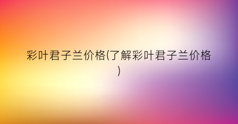 彩叶君子兰价格(了解彩叶君子兰价格)