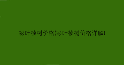 彩叶桢树价格(彩叶桢树价格详解)