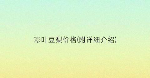 彩叶豆梨价格(附详细介绍)