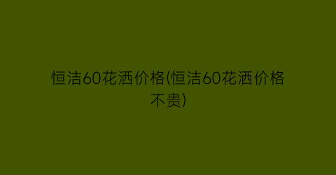 恒洁60花洒价格(恒洁60花洒价格不贵)