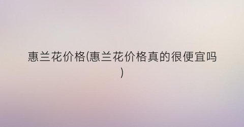 惠兰花价格(惠兰花价格真的很便宜吗)