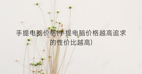 “手提电脑价格(手提电脑价格越高追求的性价比越高)
