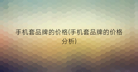 手机套品牌的价格(手机套品牌的价格分析)