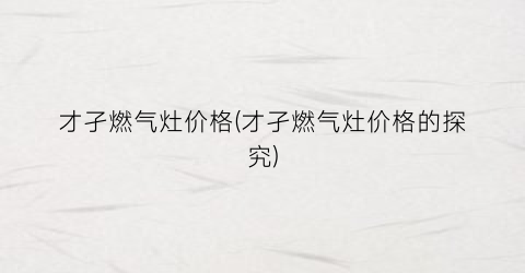 才孑燃气灶价格(才孑燃气灶价格的探究)