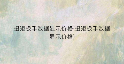 扭矩扳手数据显示价格(扭矩扳手数据显示价格)