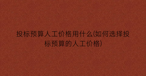 “投标预算人工价格用什么(如何选择投标预算的人工价格)