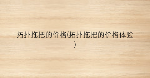 拓扑拖把的价格(拓扑拖把的价格体验)