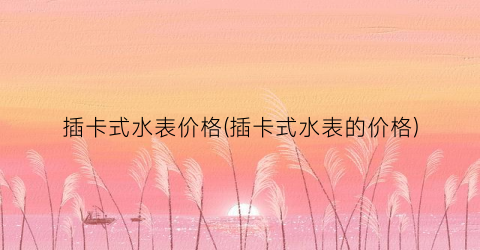 插卡式水表价格(插卡式水表的价格)
