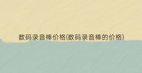 “数码录音棒价格(数码录音棒的价格)