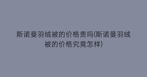 斯诺曼羽绒被的价格贵吗(斯诺曼羽绒被的价格究竟怎样)
