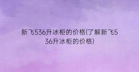 新飞536升冰柜的价格(了解新飞536升冰柜的价格)