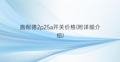施耐德2p25a开关价格(附详细介绍)