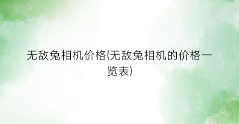 无敌兔相机价格(无敌兔相机的价格一览表)